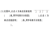 小学数学新西师版三年级数学上册第六单元1第一课时 线段、射线与直线作业课件（2025秋）