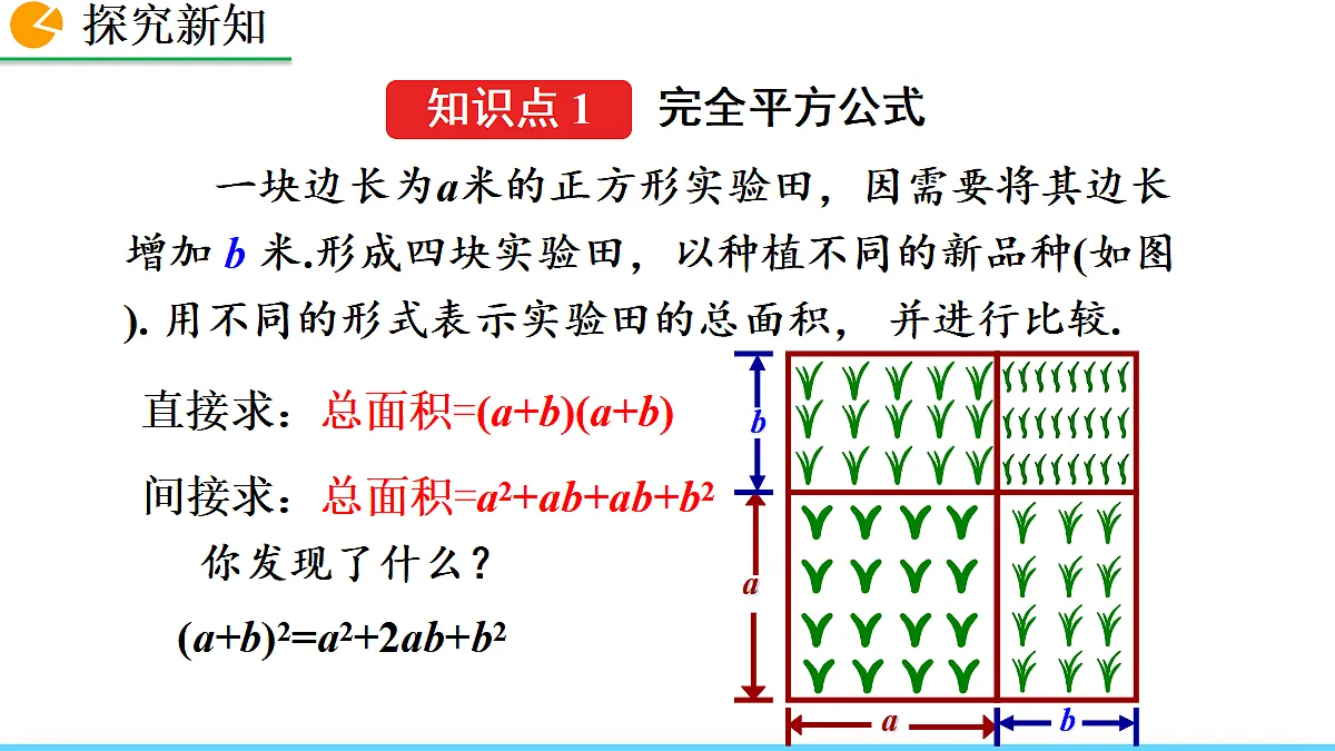 17299982第3页