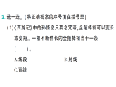 小学数学新西师版三年级数学上册第六单元1第二课时 练习课作业课件（含答案）（2025秋）