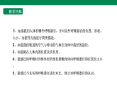 人教鄂教版小学科学三年级上册 第四单元 4.14《呼吸器官》课件