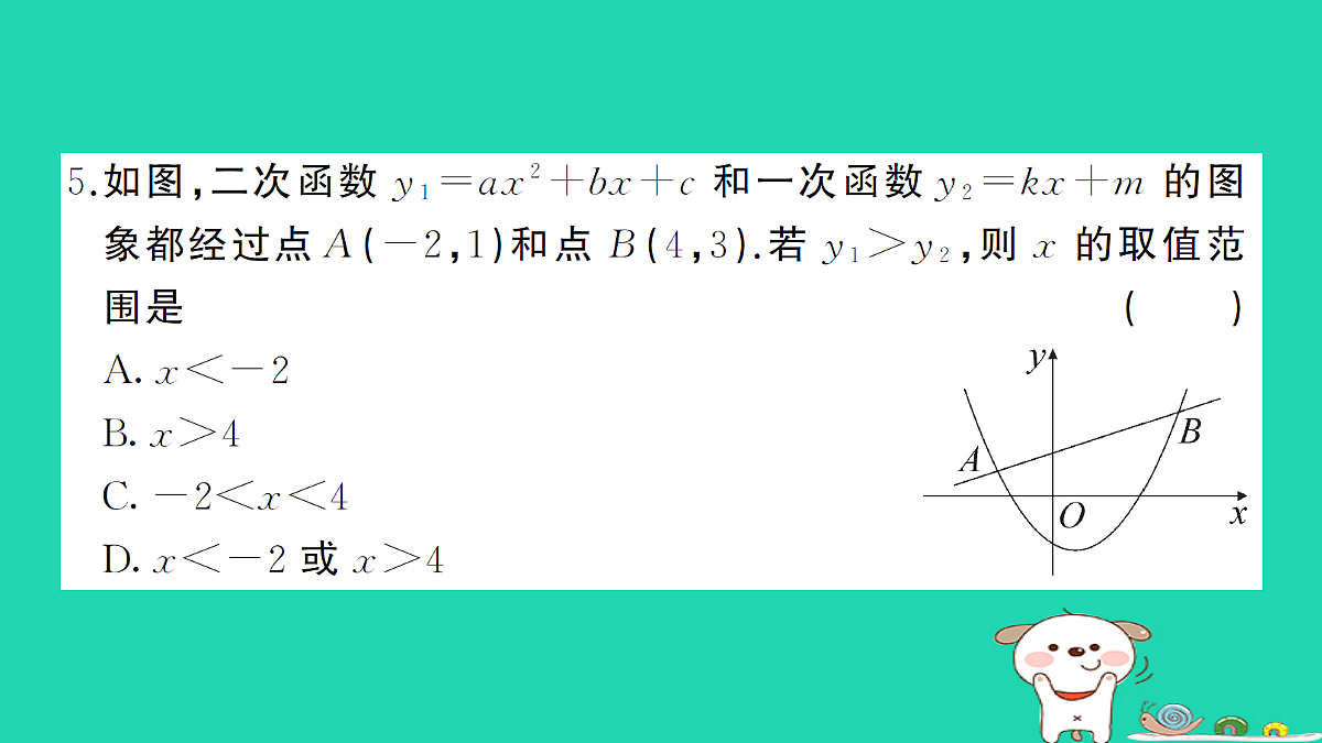 17302611第5页