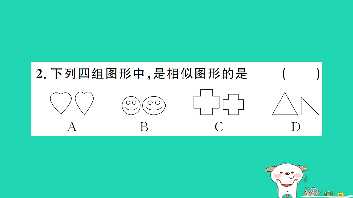 17302621第3页