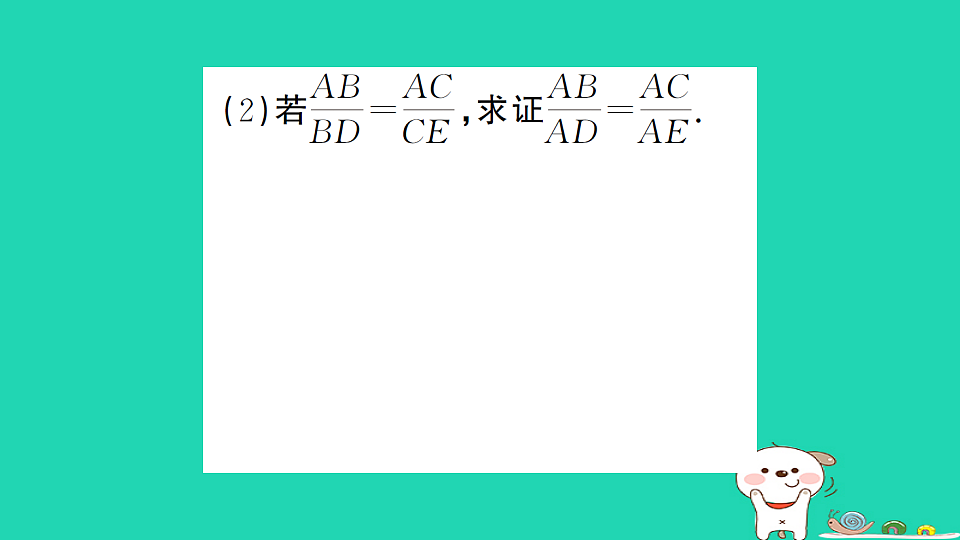 17302623第8页