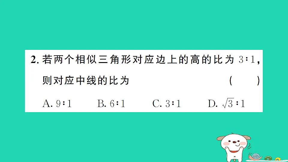 17302631第3页
