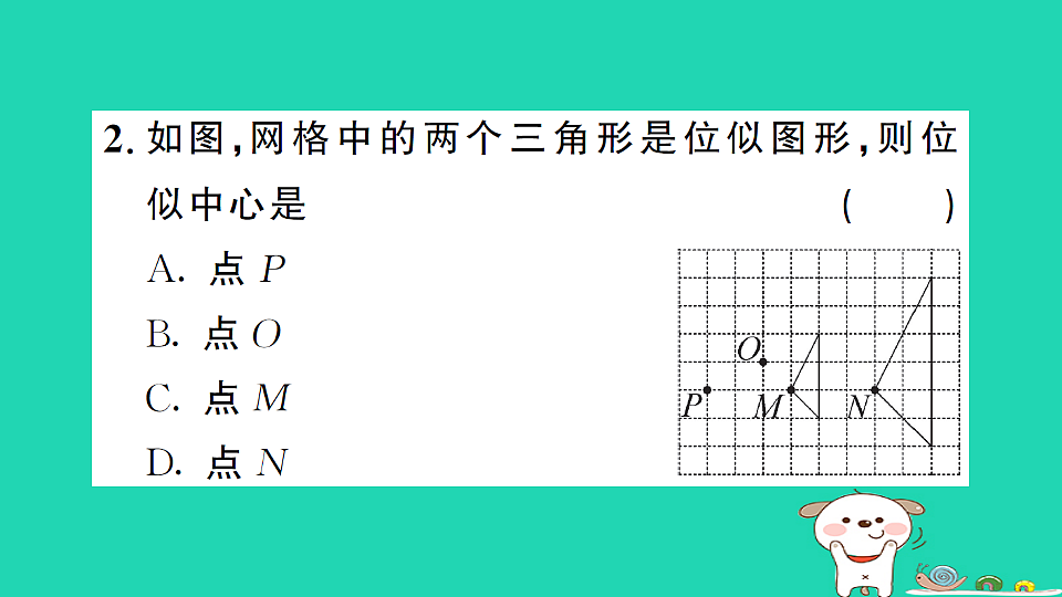 17302632第3页