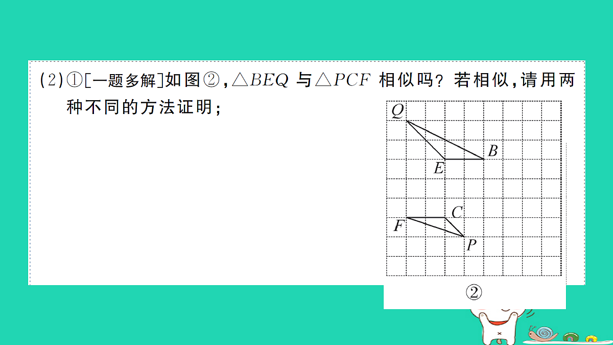 17302637第4页