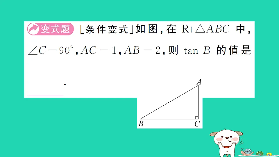 17302641第3页