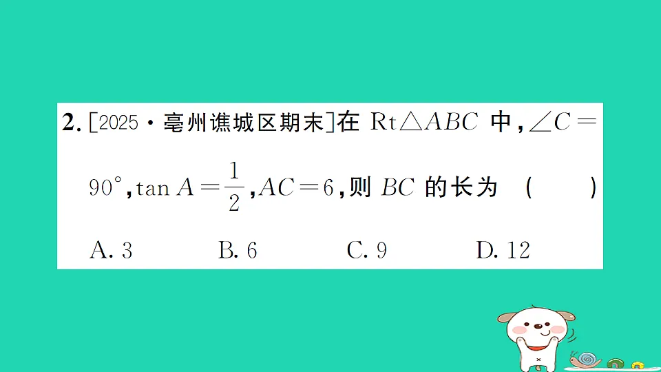 17302641第4页