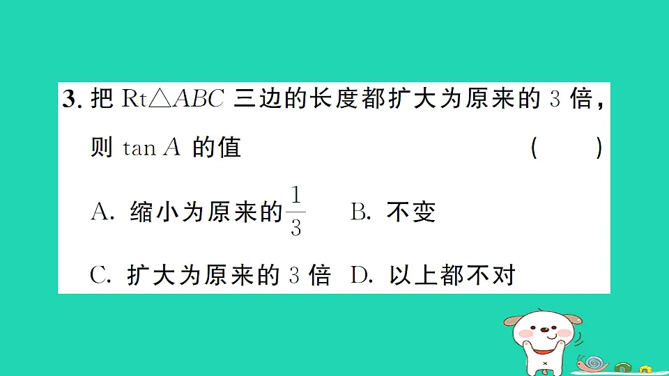 17302641第5页