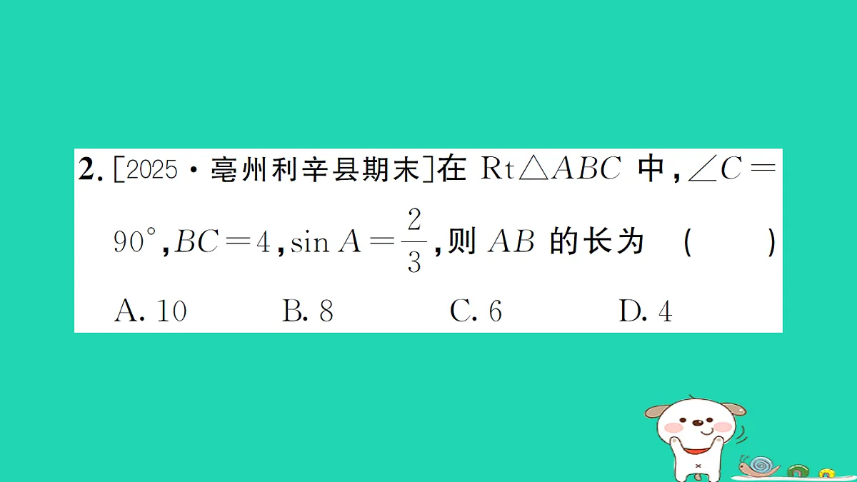 17302642第4页