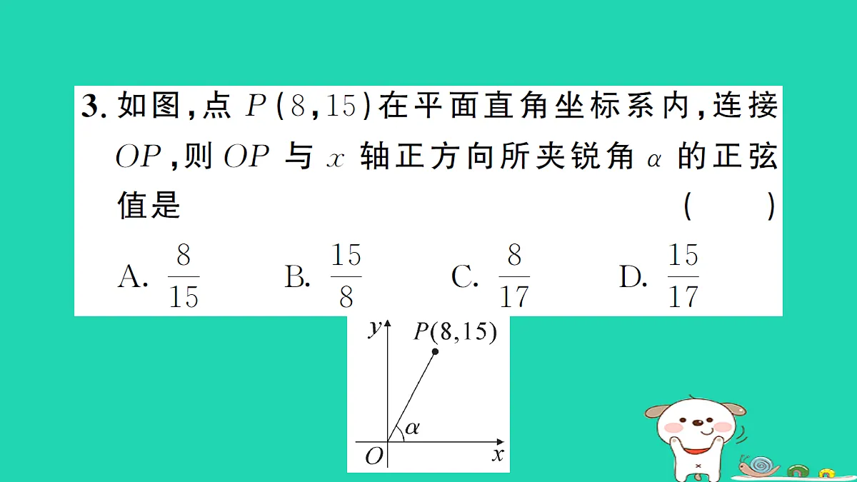 17302642第5页