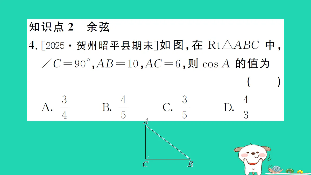17302642第6页