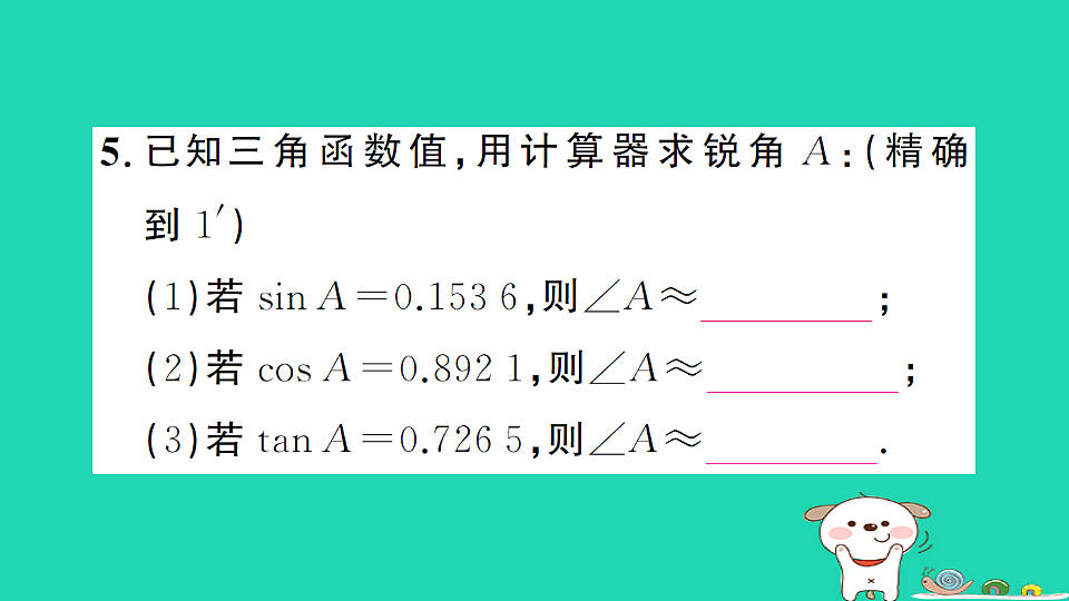 17302643第5页