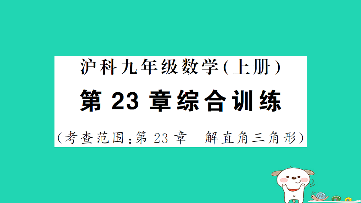 17302652第1页