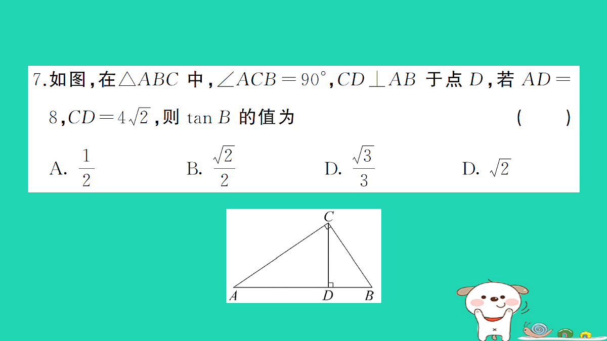 17302652第6页