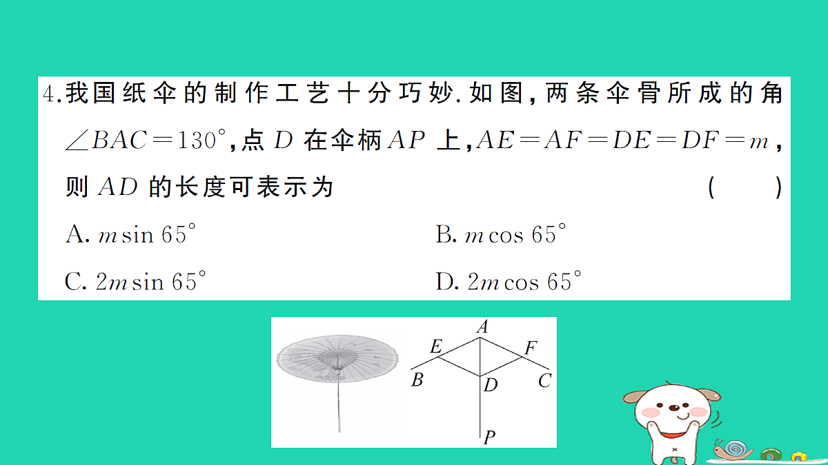 17302662第5页