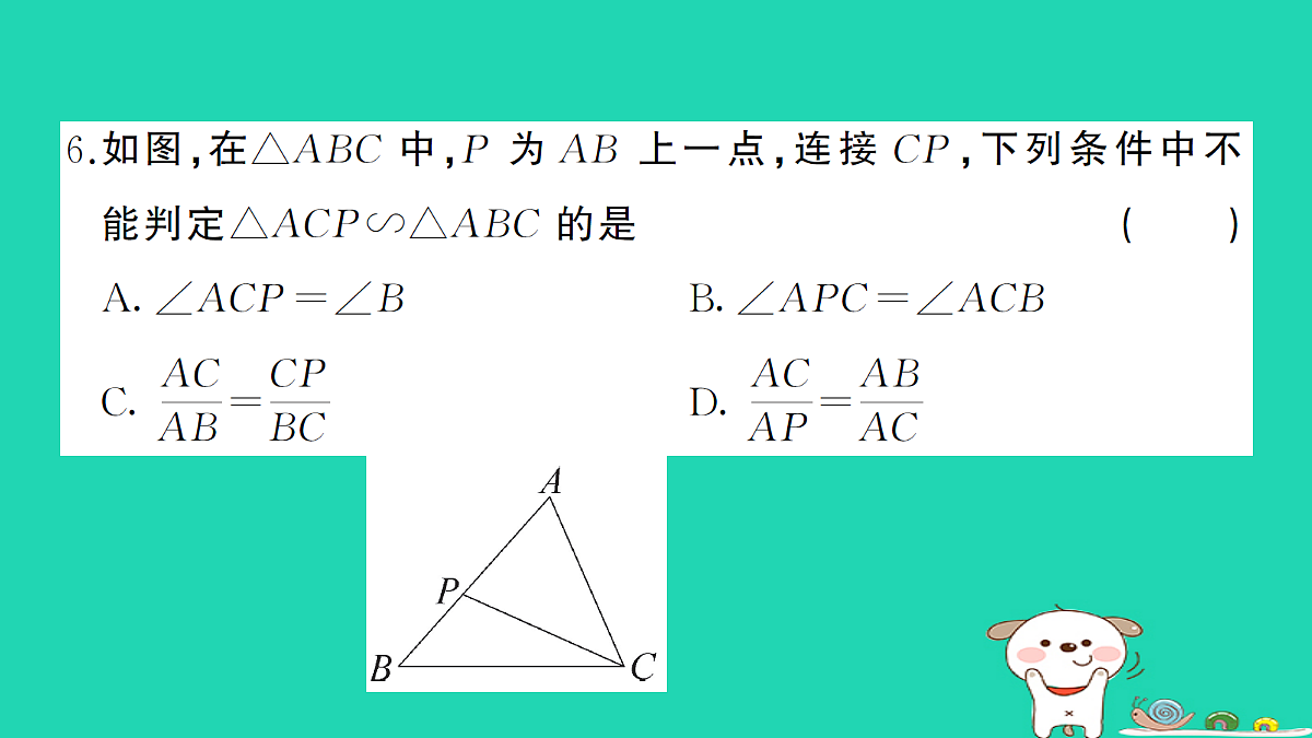 17302662第6页