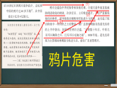 第1课 鸦片战争【课件】2025—2026学年统编版（2024）八年级历史上册