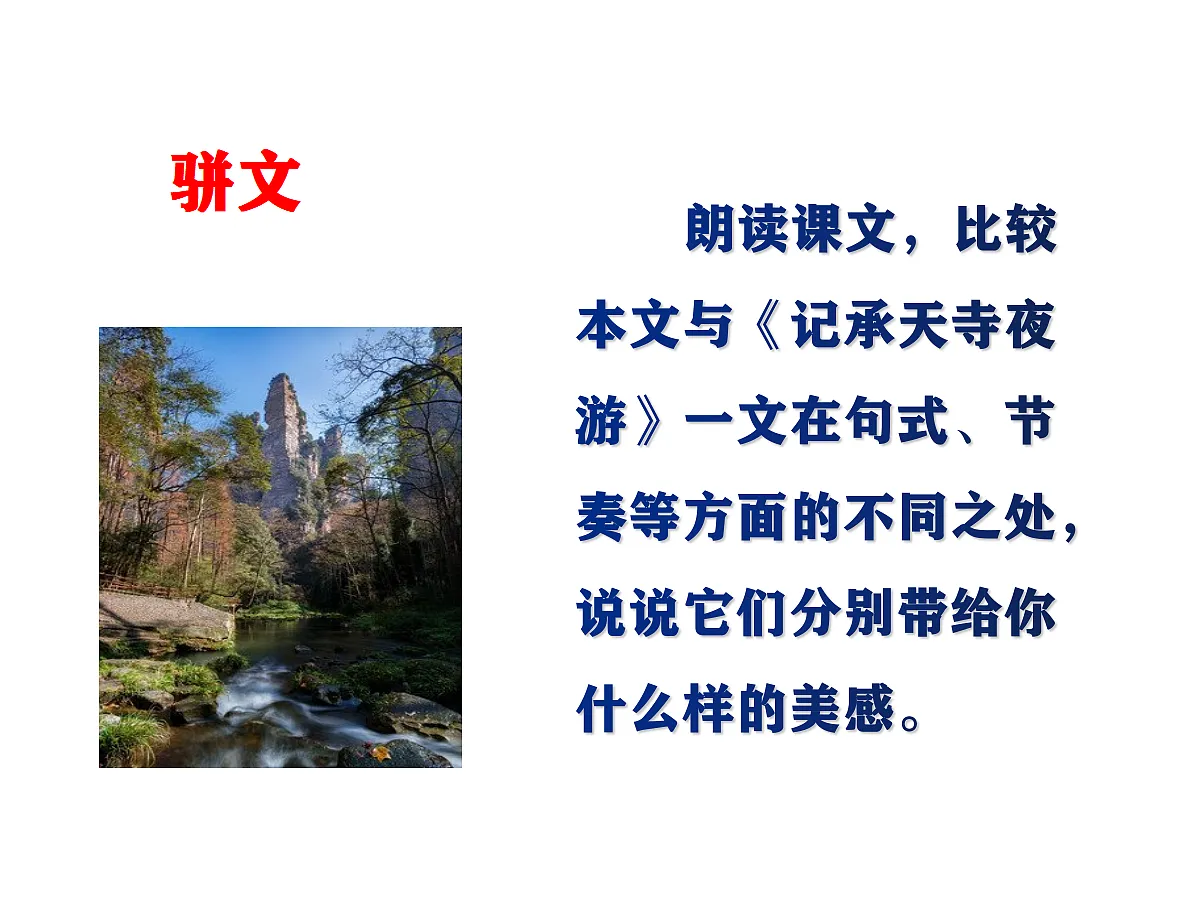 17303097第6页