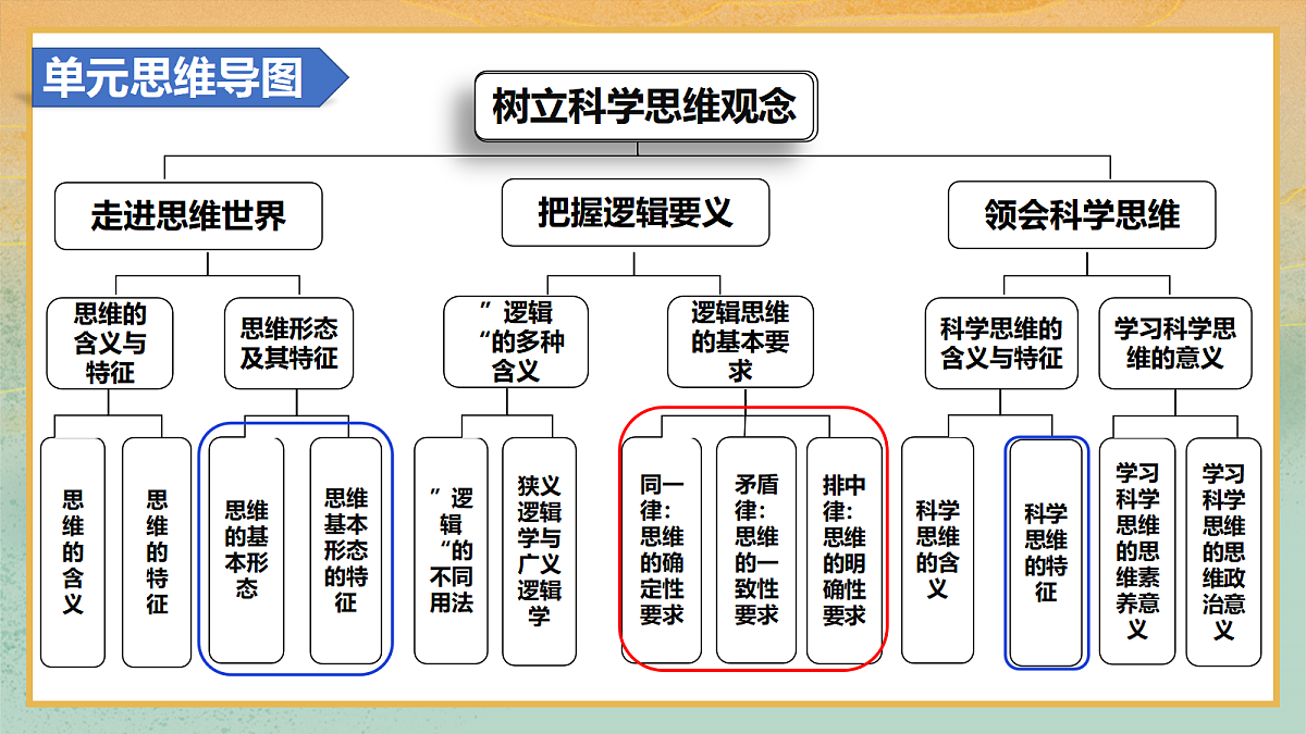 17303389第8页