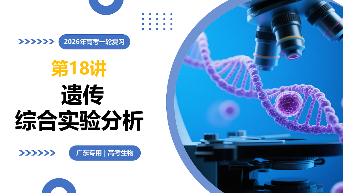 17303455第1页
