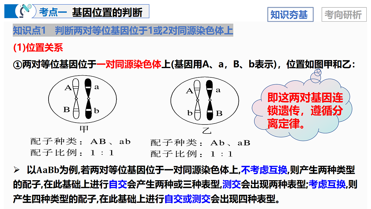17303455第8页