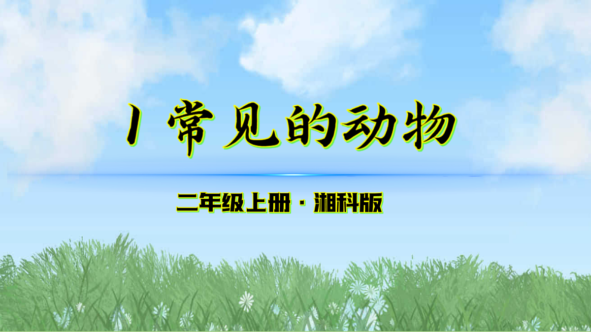 17303471第1页