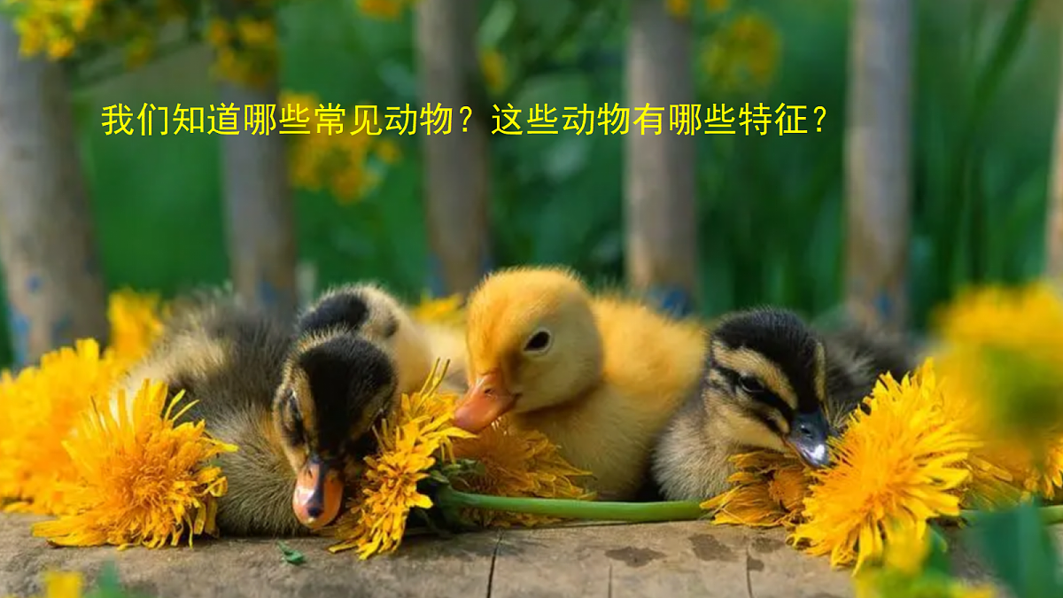 17303471第2页