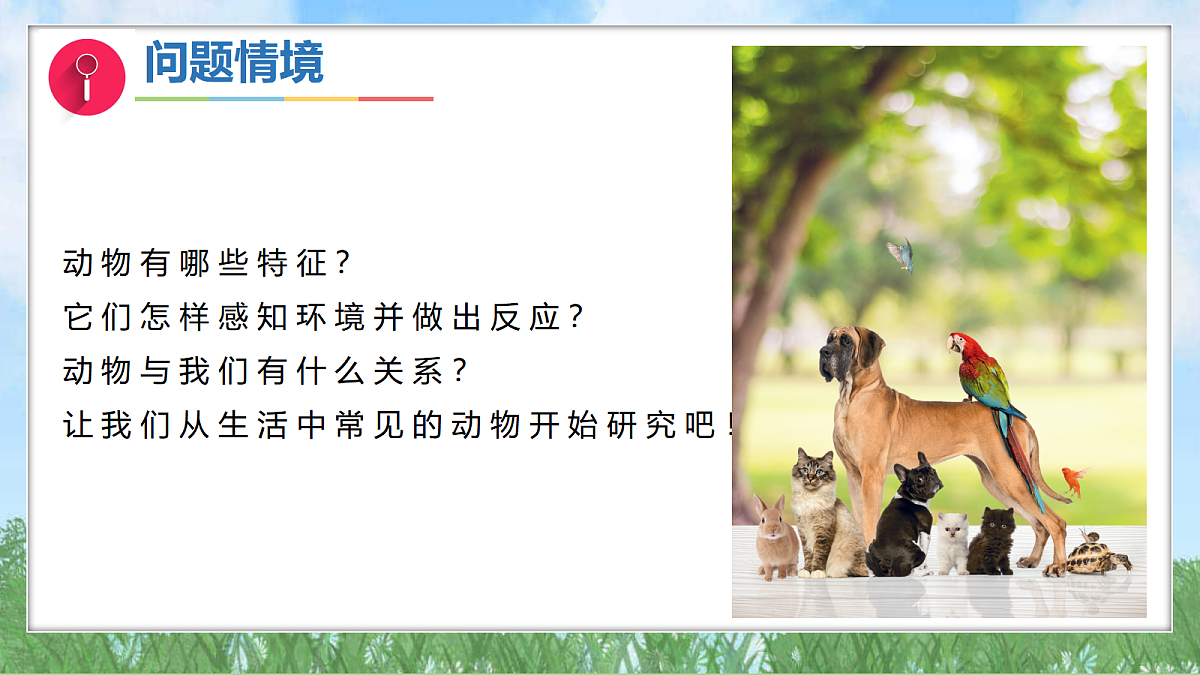 17303471第3页