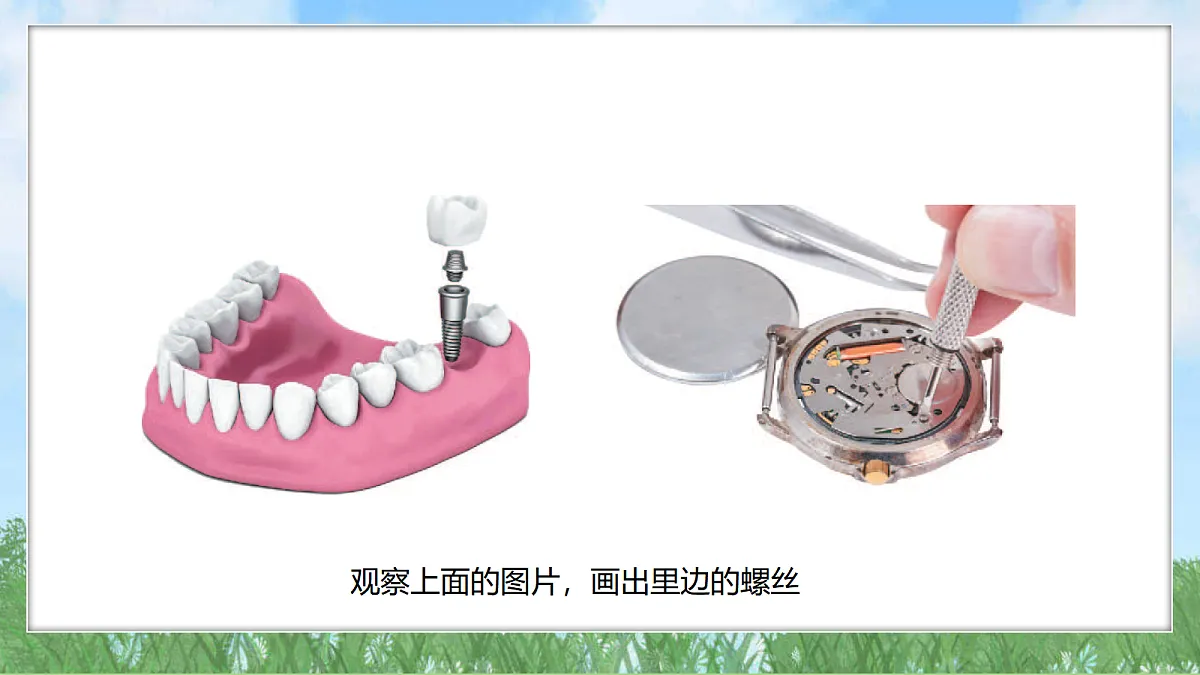 17303518第4页