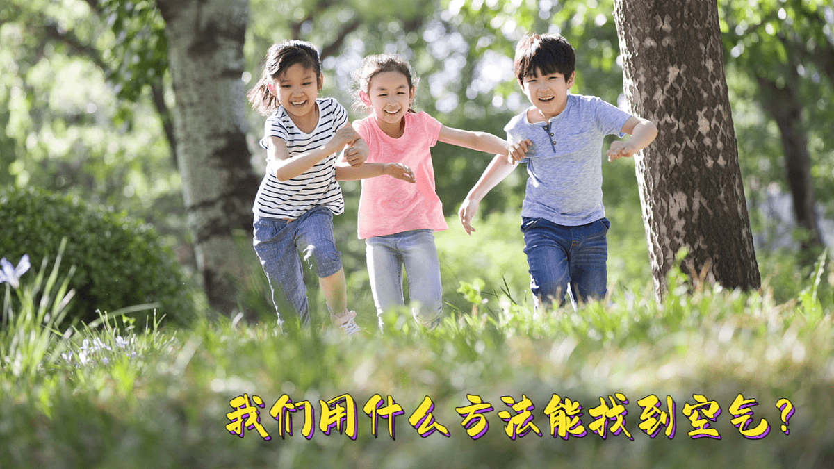 17303539第7页