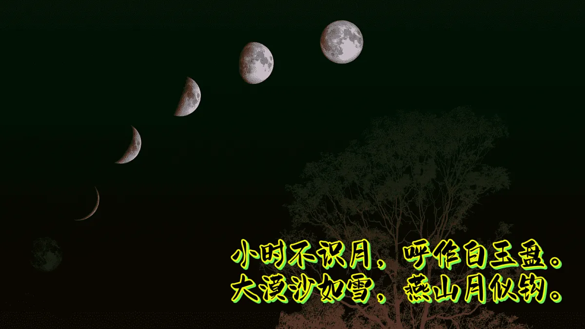17303543第8页