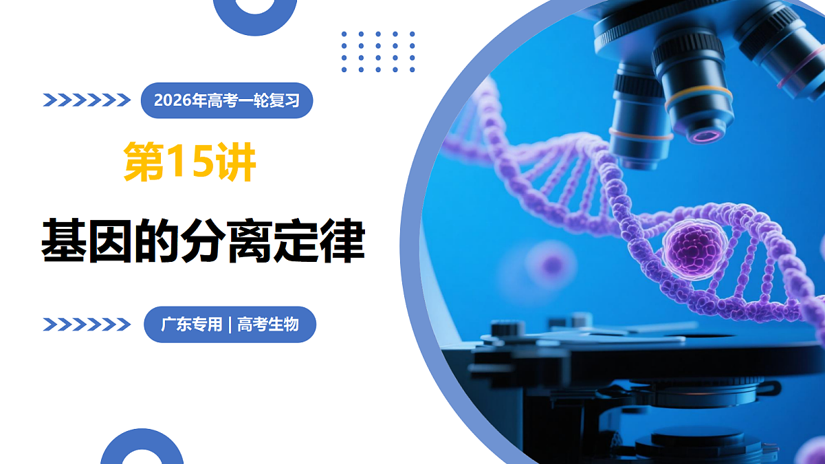 17303565第1页