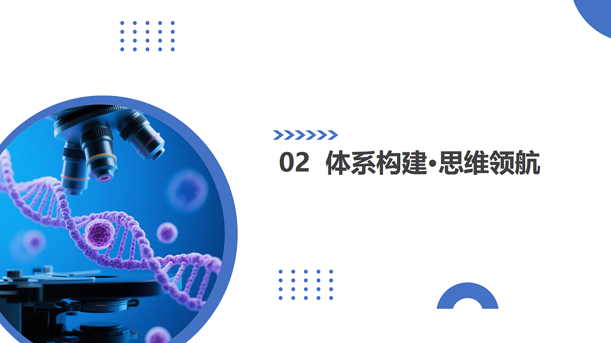 17303565第5页