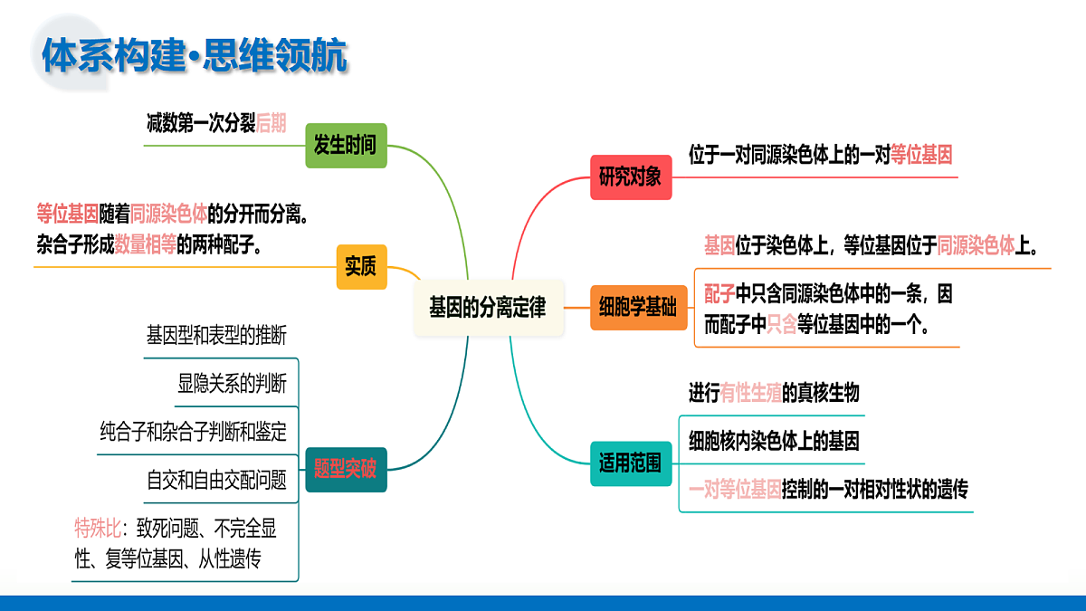 17303565第6页