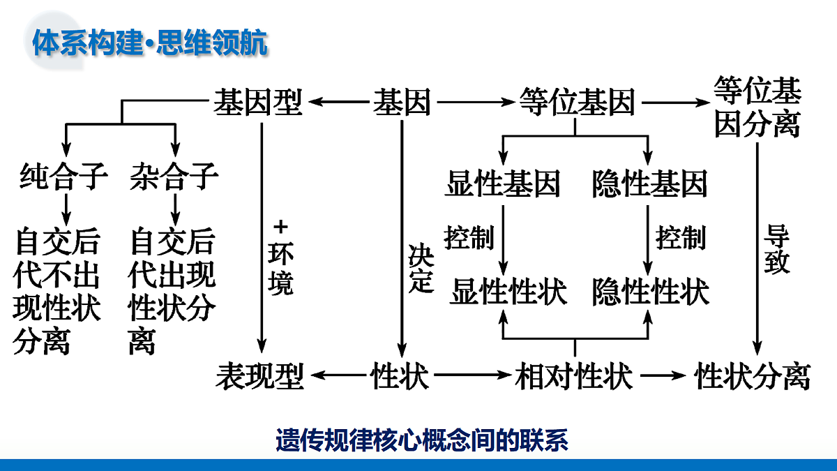 17303565第7页