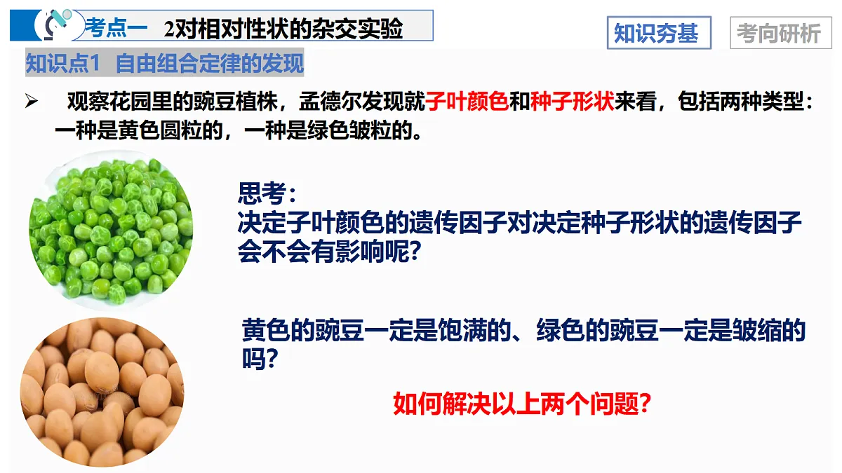 17303566第8页