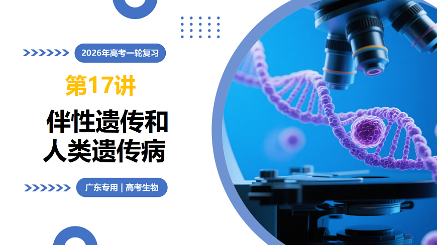17303567第1页
