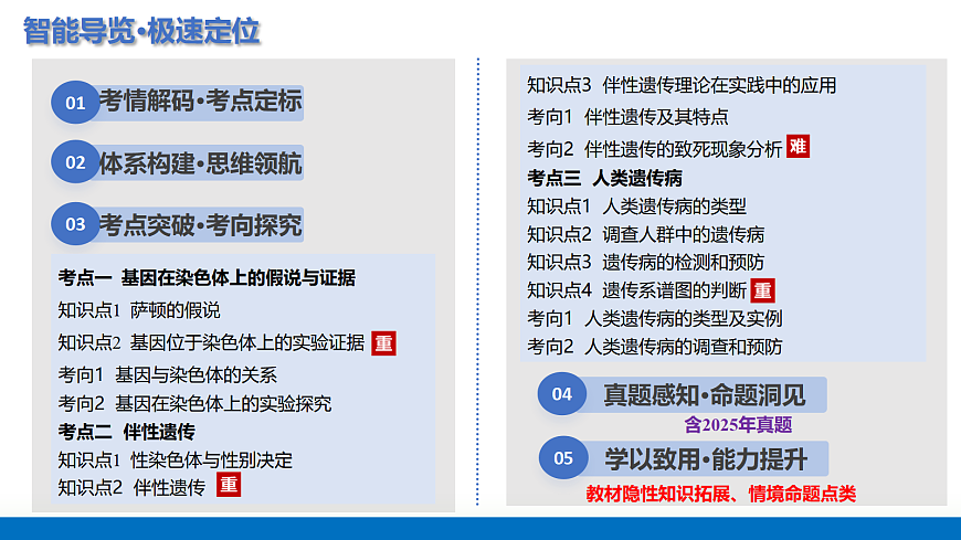17303567第2页