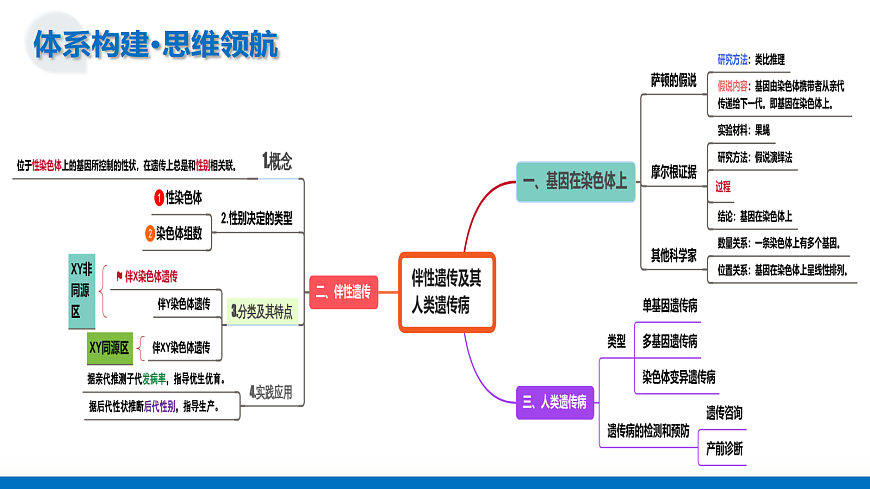 17303567第6页