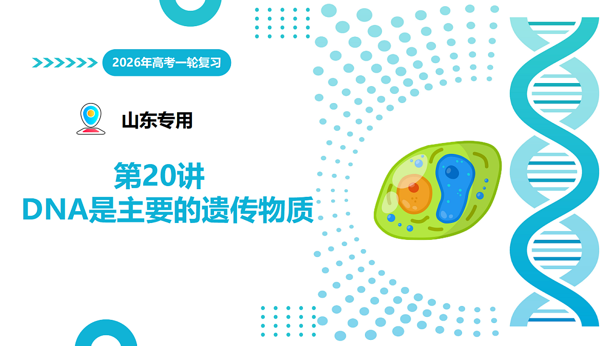 17303569第1页