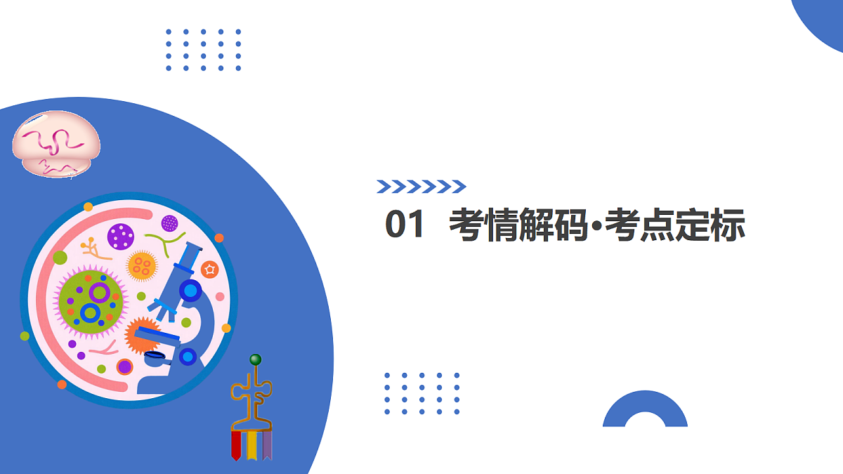 17303571第3页