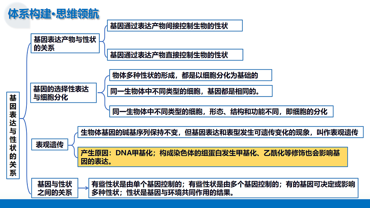 17303571第7页