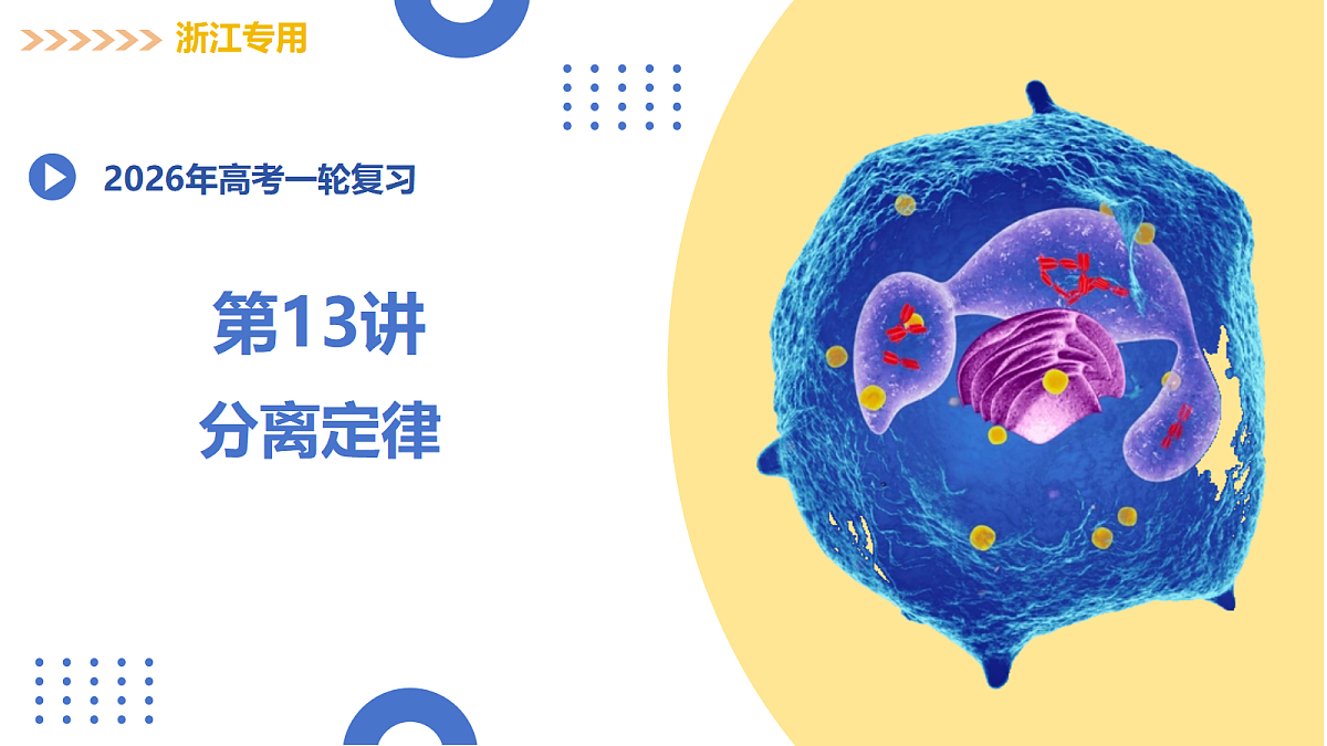 17303576第1页