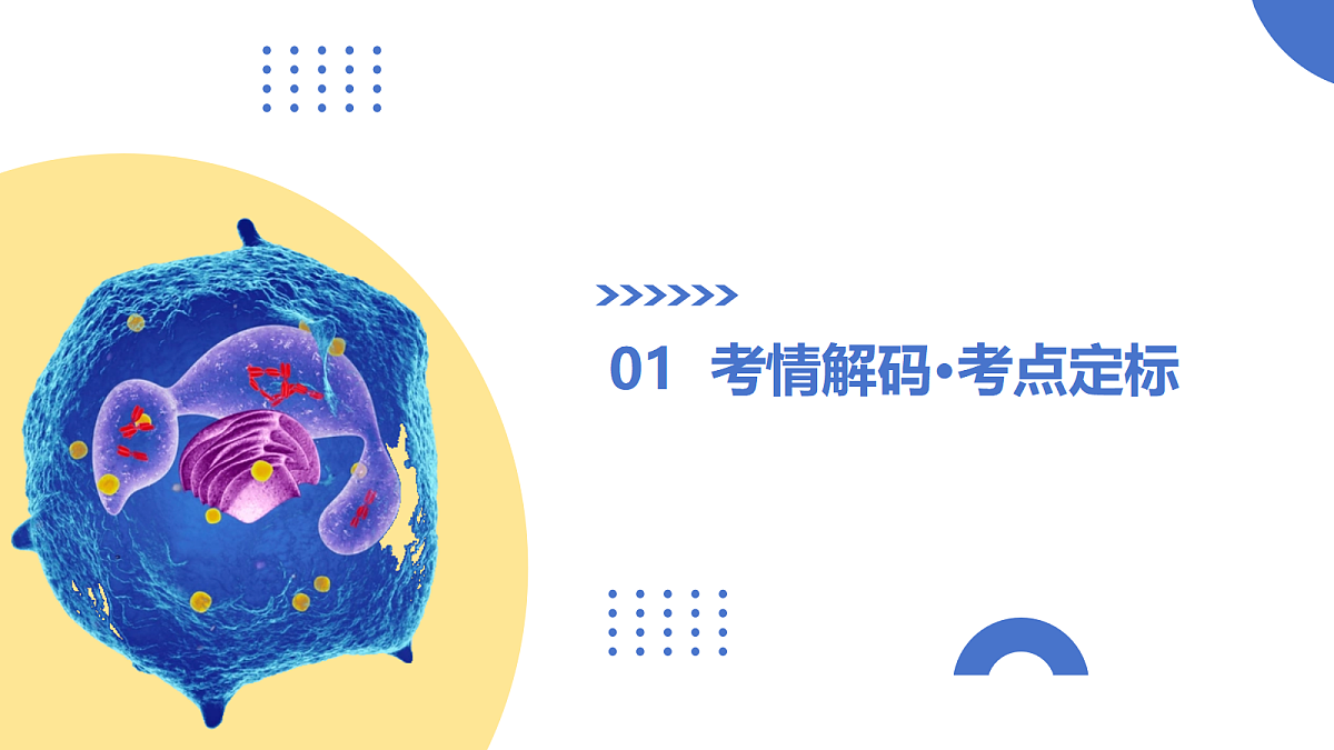 17303576第3页