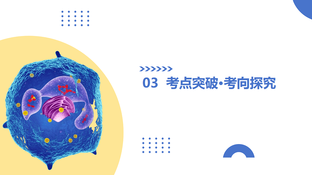 17303576第8页
