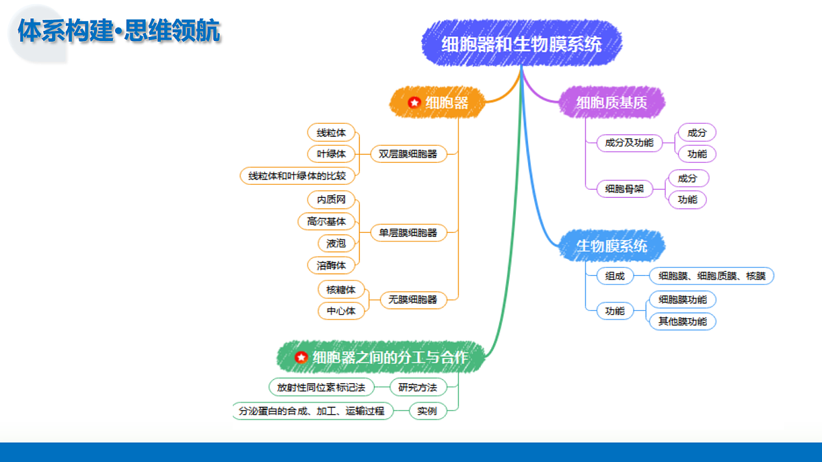 17303579第7页