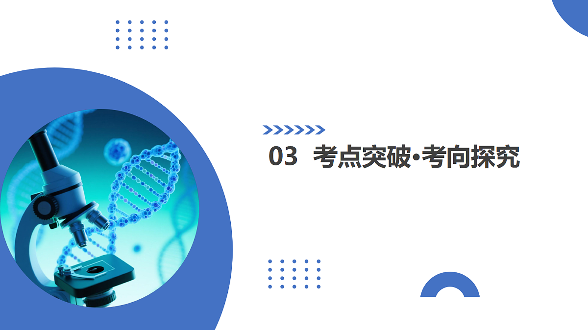 17303583第8页