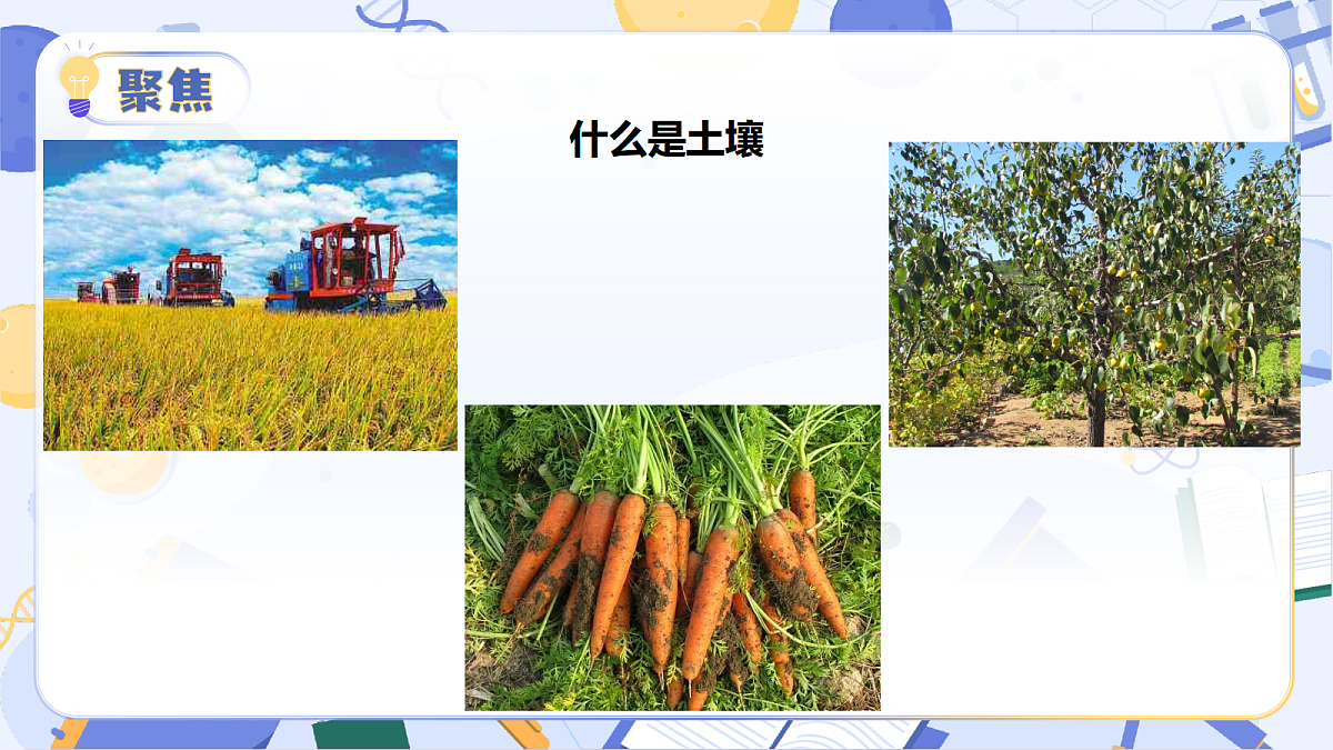 17304236第5页