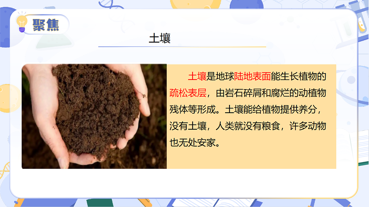 17304236第6页